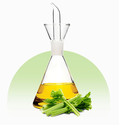 Celery_Seed_Oil